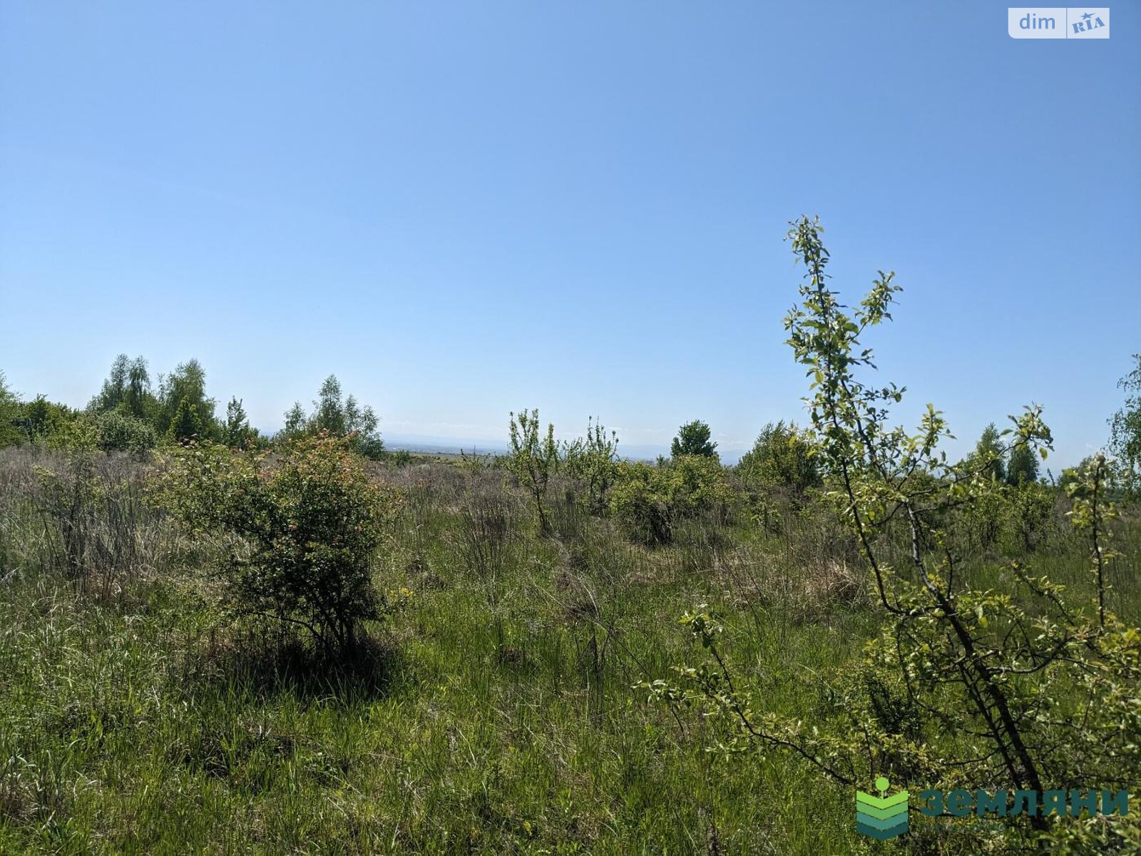 Земельна ділянка під житлову забудову в Колодіївці, площа 12 соток фото 1 Земельна ділянка під житлову забудову в Колодіївці, площа 12 соток фото 1