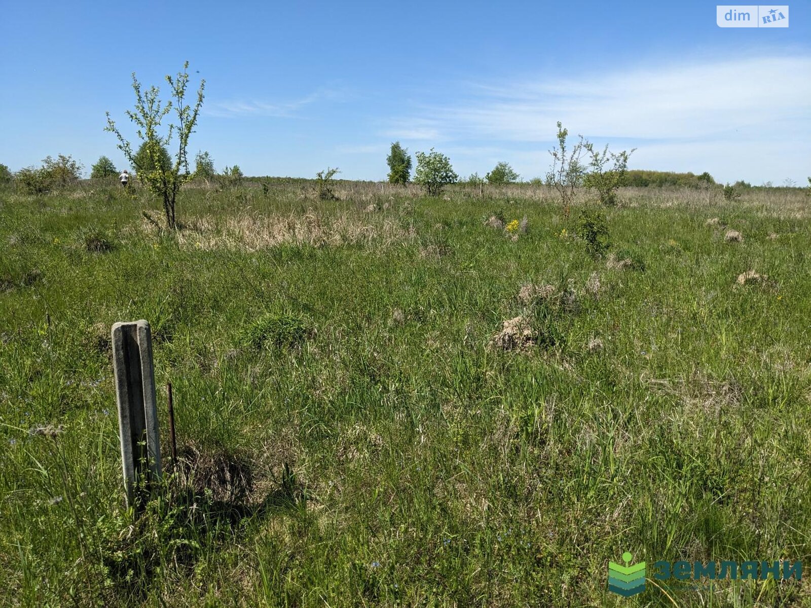 Земельна ділянка під житлову забудову в Колодіївці, площа 12 соток фото 1 Земельна ділянка під житлову забудову в Колодіївці, площа 12 соток фото 1