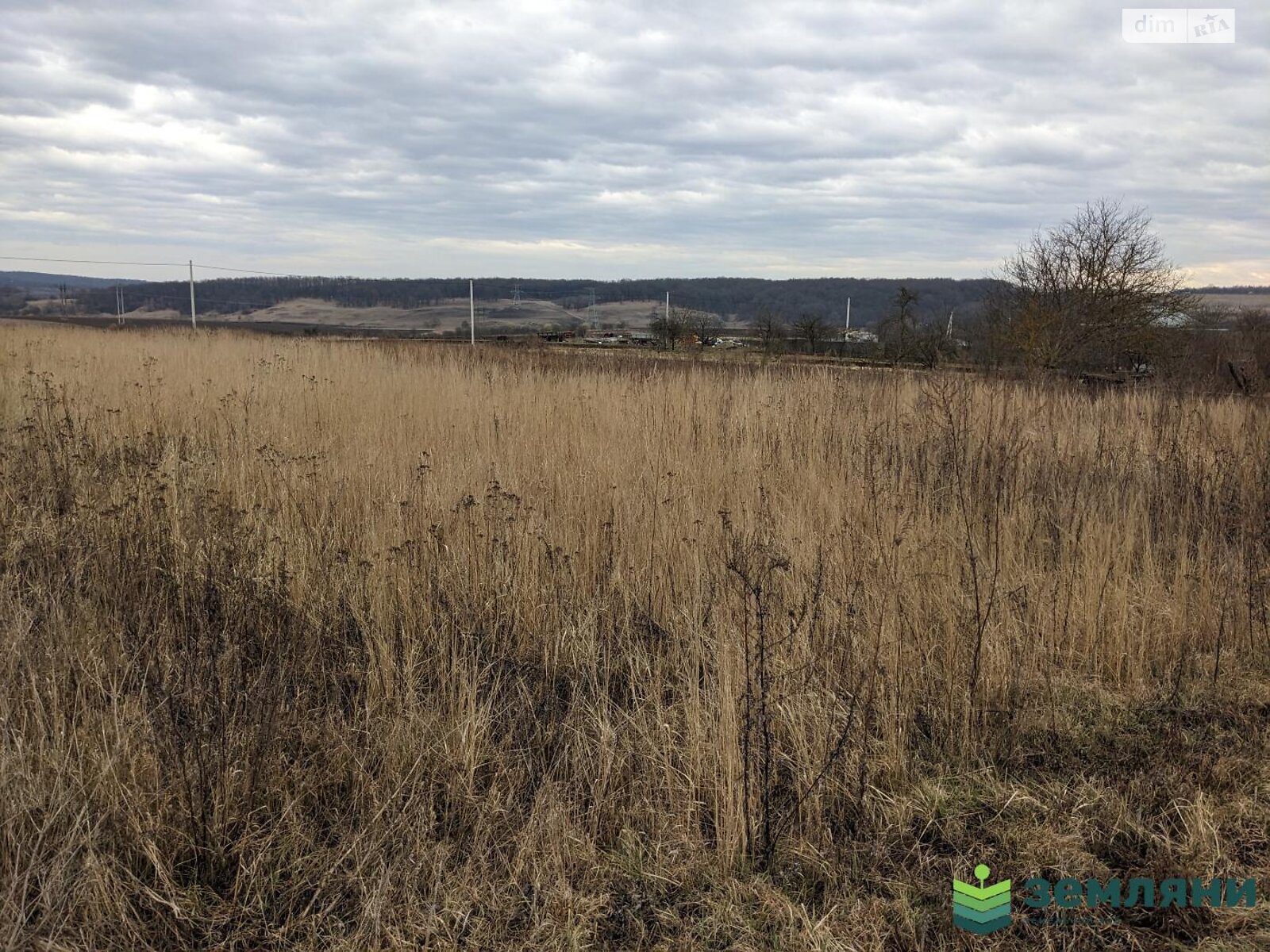 Земельна ділянка під житлову забудову в Колодіївці, площа 19.94 сотки фото 1 Земельна ділянка під житлову забудову в Колодіївці, площа 19.94 сотки фото 1