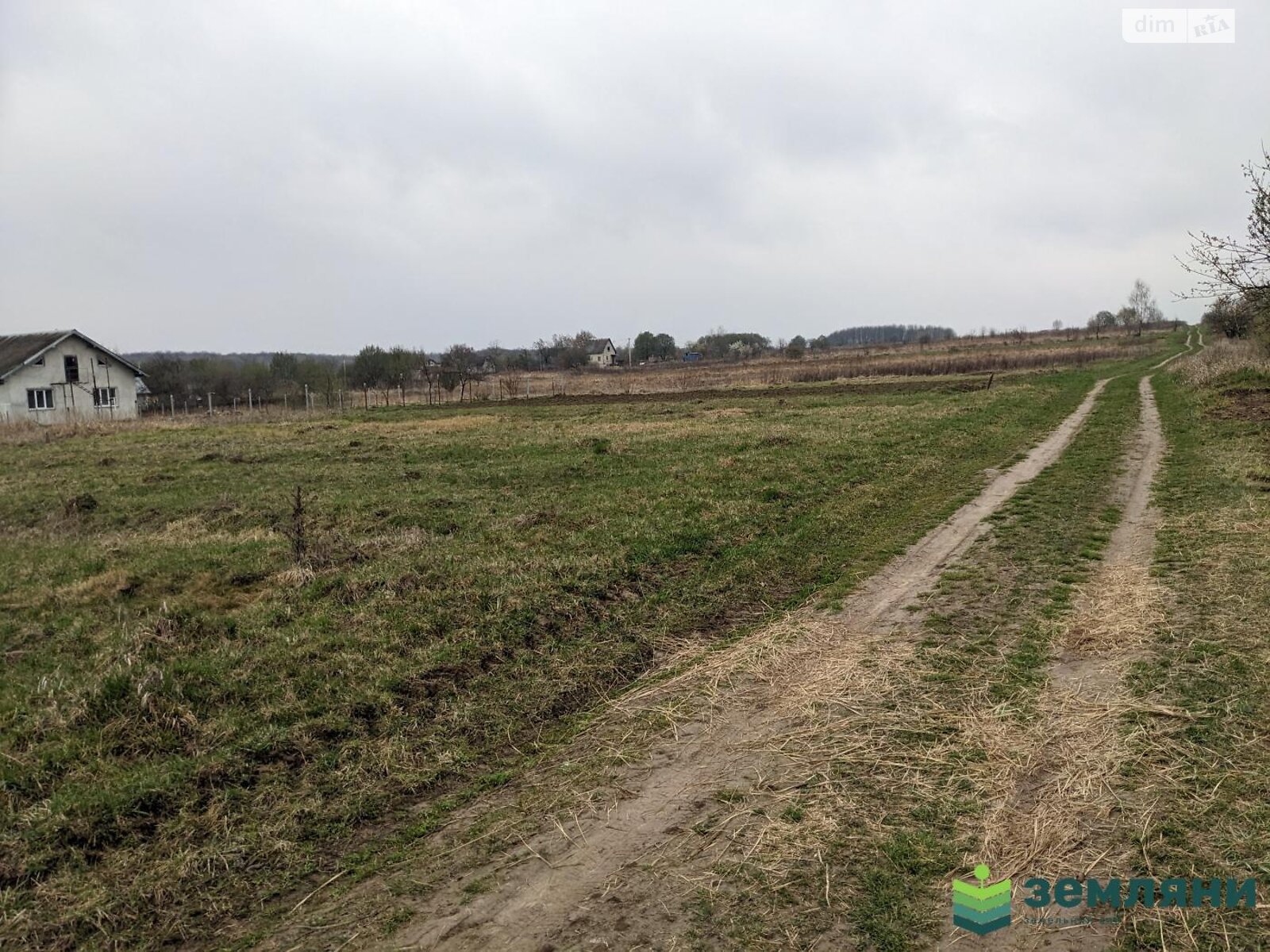 Земельна ділянка під житлову забудову в Колодіївці, площа 36 соток фото 1 Земельна ділянка під житлову забудову в Колодіївці, площа 36 соток фото 1
