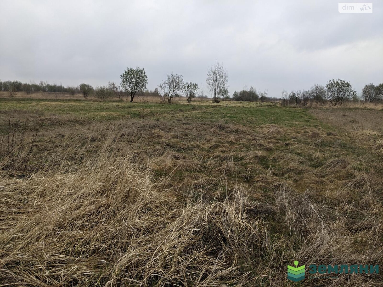 Земельна ділянка під житлову забудову в Колодіївці, площа 36 соток фото 1 Земельна ділянка під житлову забудову в Колодіївці, площа 36 соток фото 1