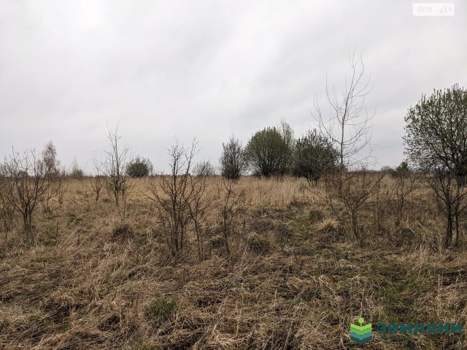 Земельна ділянка під житлову забудову в Колодіївці, площа 18 соток фото 1 Земельна ділянка під житлову забудову в Колодіївці, площа 18 соток фото 1