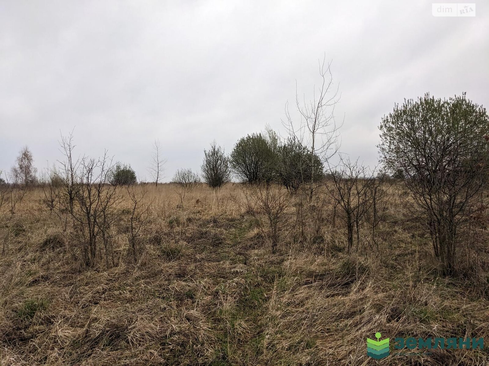 Земельна ділянка під житлову забудову в Колодіївці, площа 18 соток фото 1 Земельна ділянка під житлову забудову в Колодіївці, площа 18 соток фото 1