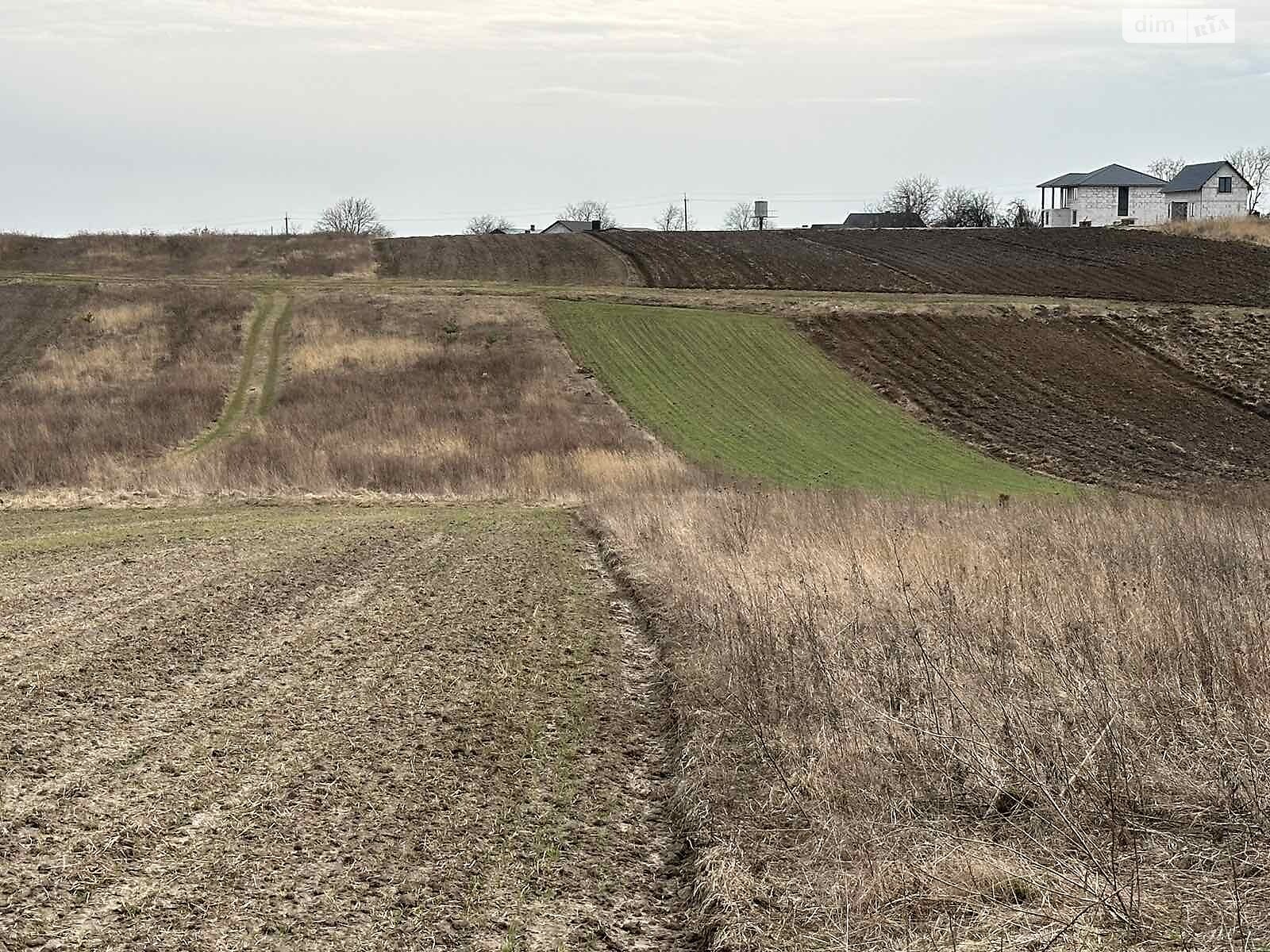 Земельна ділянка під житлову забудову в Колоденці, площа 21 сотка фото 1