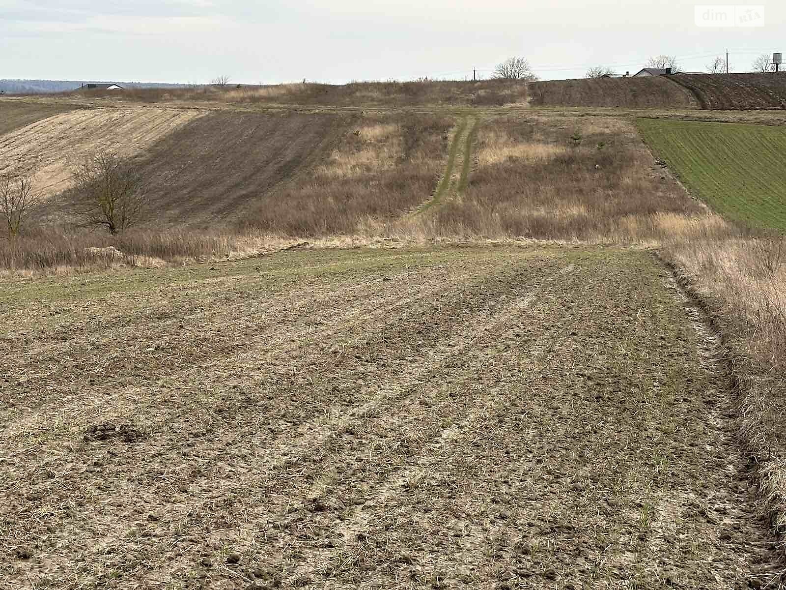 Земельна ділянка під житлову забудову в Колоденці, площа 21 сотка фото 1