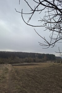 Земельна ділянка під житлову забудову в Комарові, площа 53 сотки фото 2