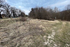 Земельный участок под жилую застройку в Комарове, площадь 21 сотка фото 2