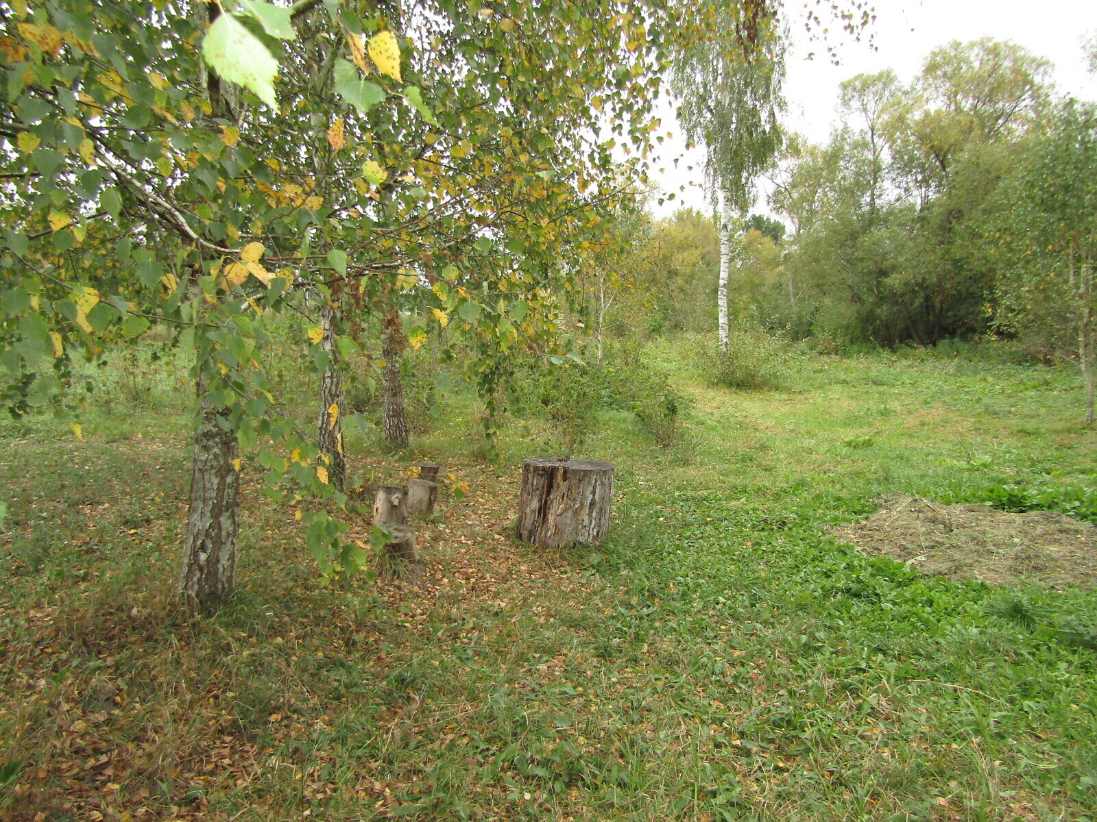 Земельный участок под жилую застройку в Комарове, площадь 19.6 сотки фото 1