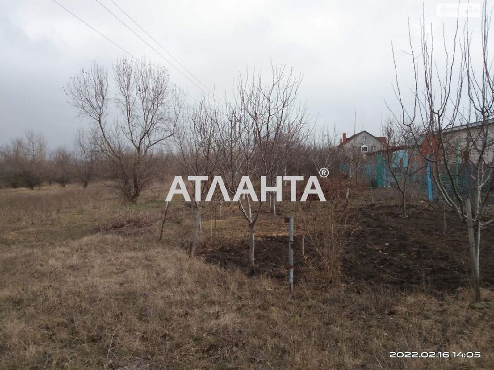 Земельна ділянка під житлову забудову в Олександрівці, площа 10 соток фото 1