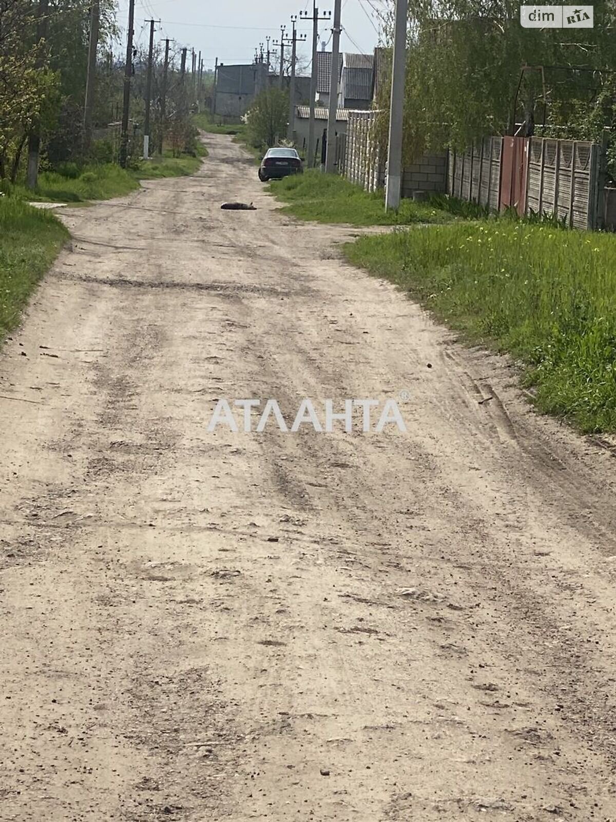 Земля под жилую застройку, площадь 10 соток фото 1