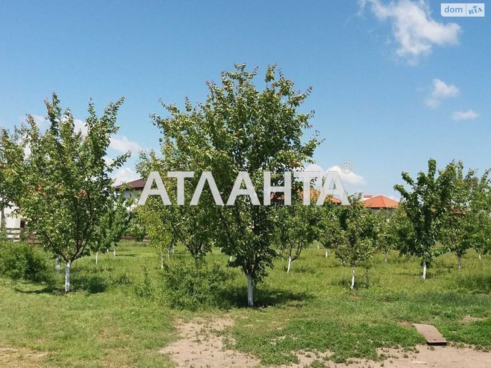 Земельна ділянка під житлову забудову в Новій Дофінівці, площа 7 соток фото 1