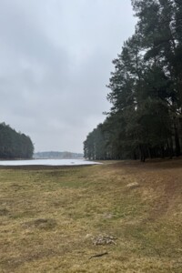 Земельна ділянка під житлову забудову в Кімнаті, площа 25 соток фото 2