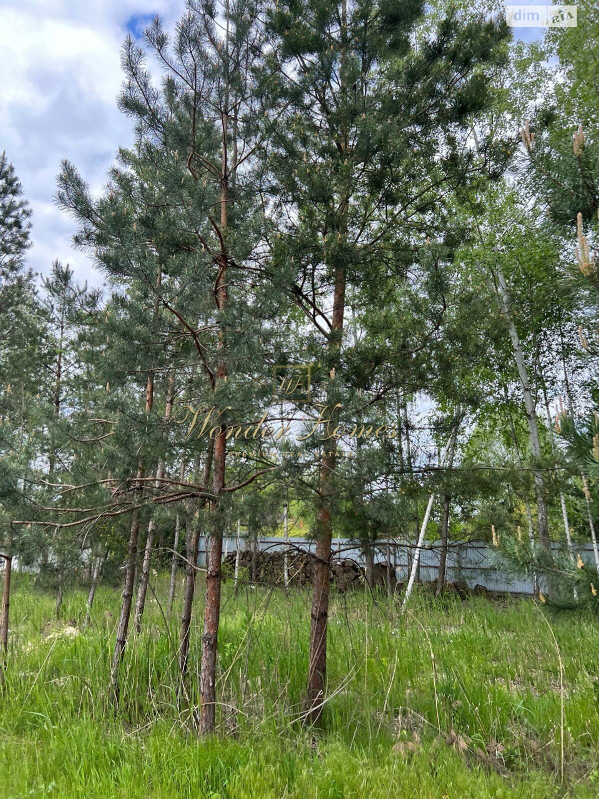 Земельна ділянка під житлову забудову в Конча-Заспі, площа 70 соток фото 1 Земельна ділянка під житлову забудову в Конча-Заспі, площа 70 соток фото 1