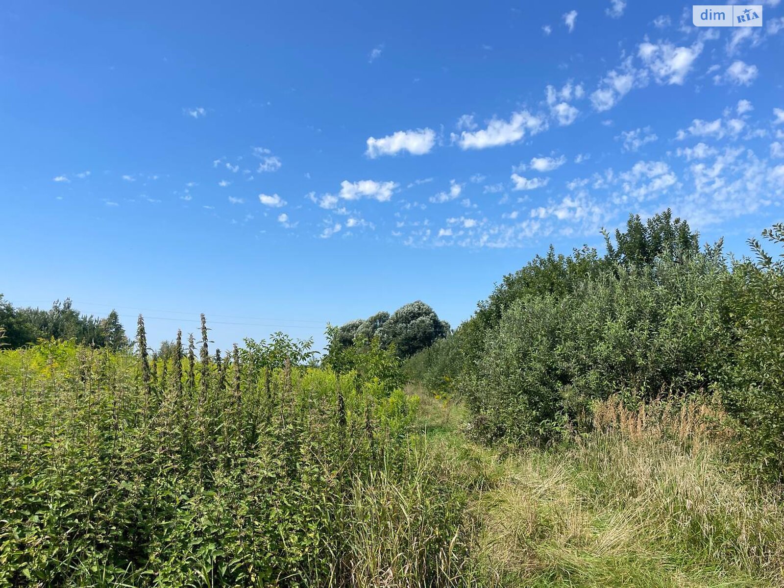 Земельный участок под жилую застройку в Конопнице, площадь 9.64 сотки фото 1