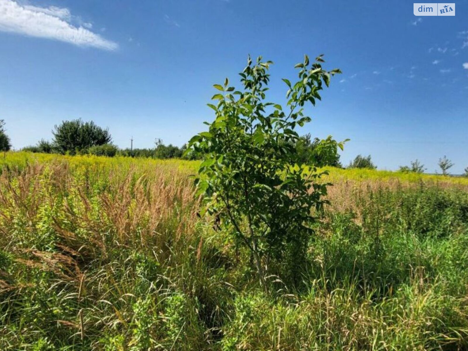 Земельна ділянка під житлову забудову в Конопниці, площа 10.92 сотки фото 1