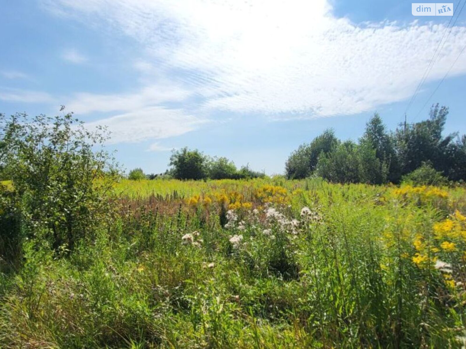 Земельна ділянка під житлову забудову в Конопниці, площа 10.92 сотки фото 1