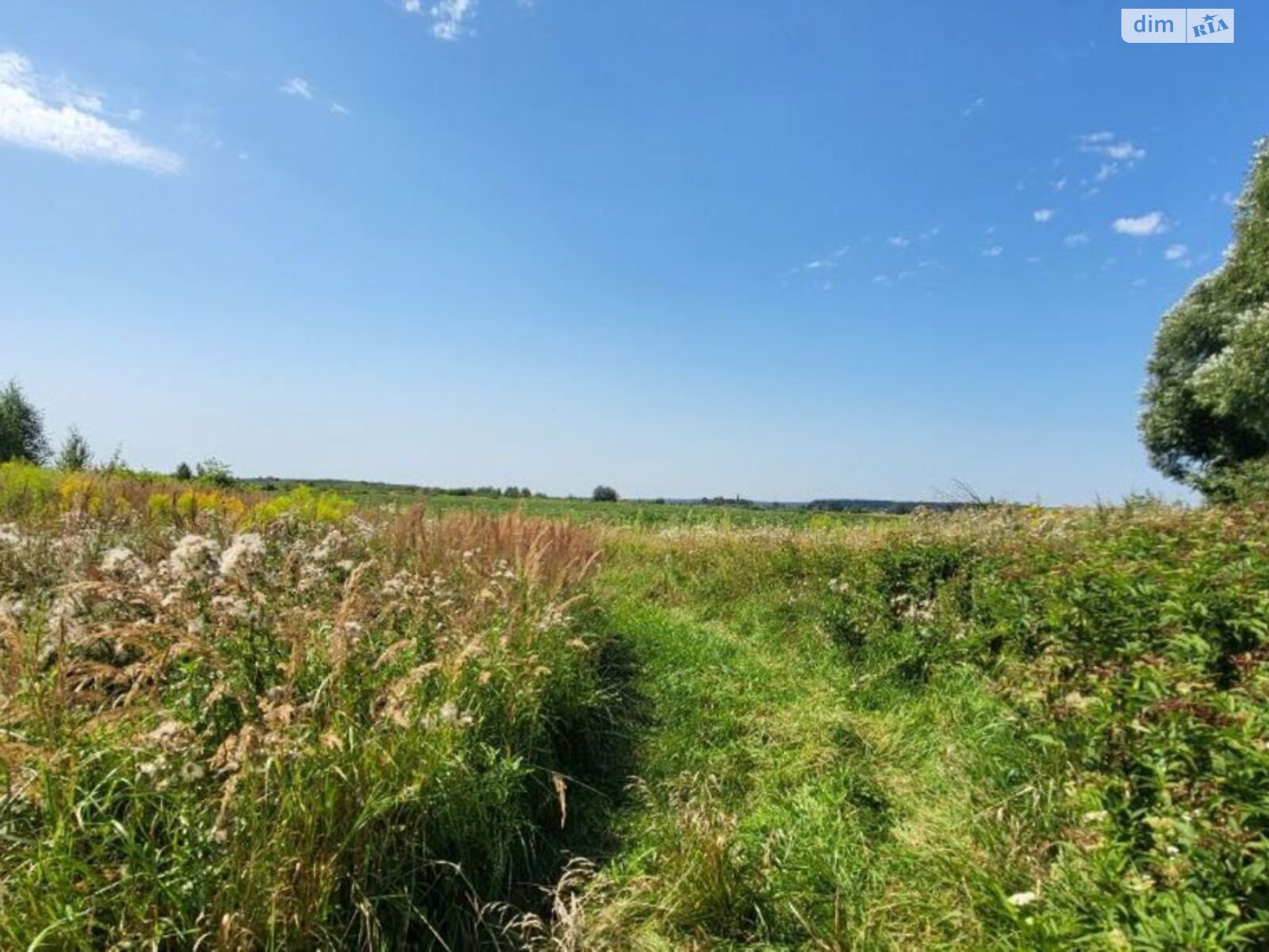 Земельна ділянка під житлову забудову в Конопниці, площа 10.92 сотки фото 1