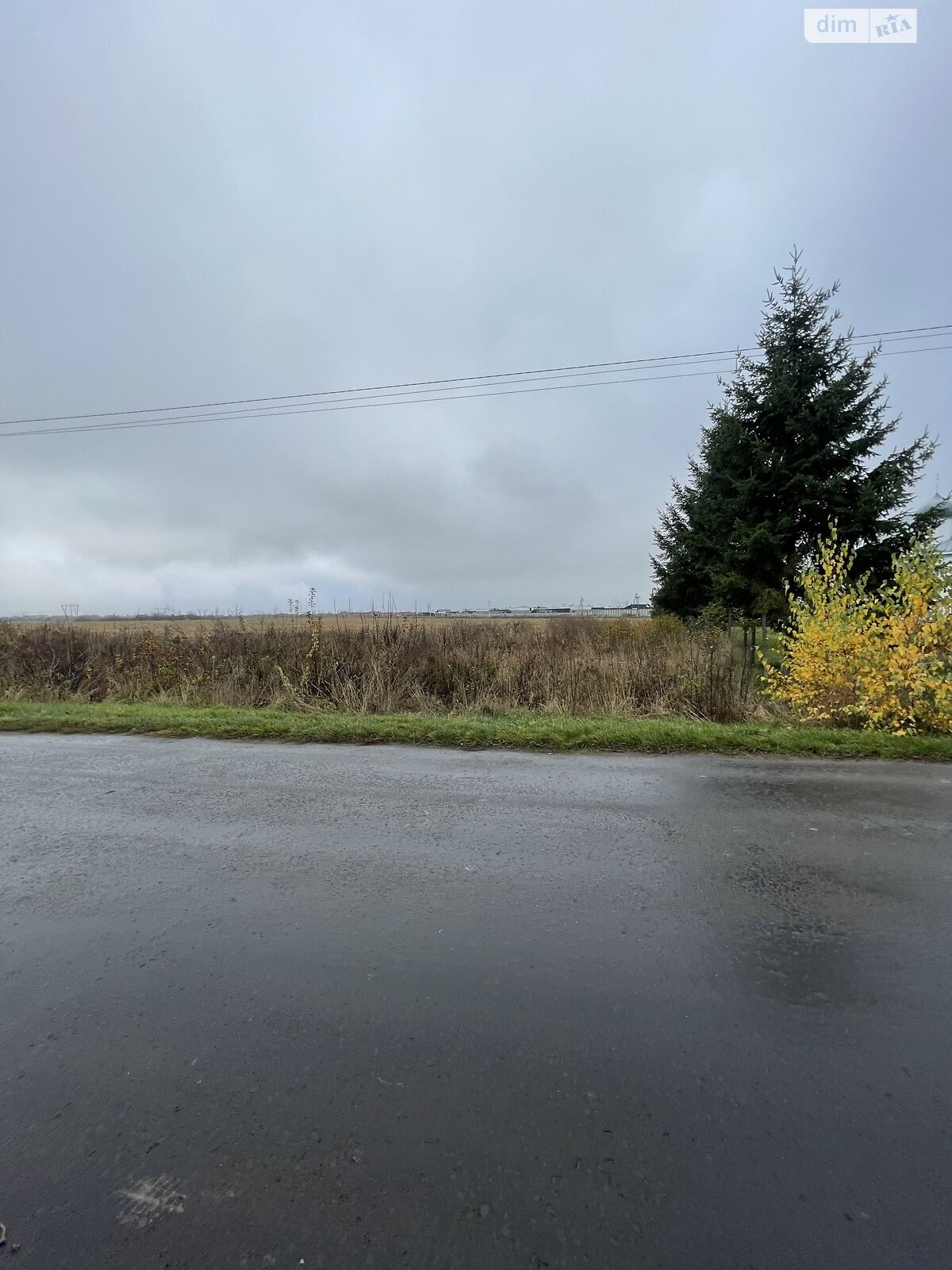 Земельный участок под жилую застройку в Концове, площадь 205 соток фото 1