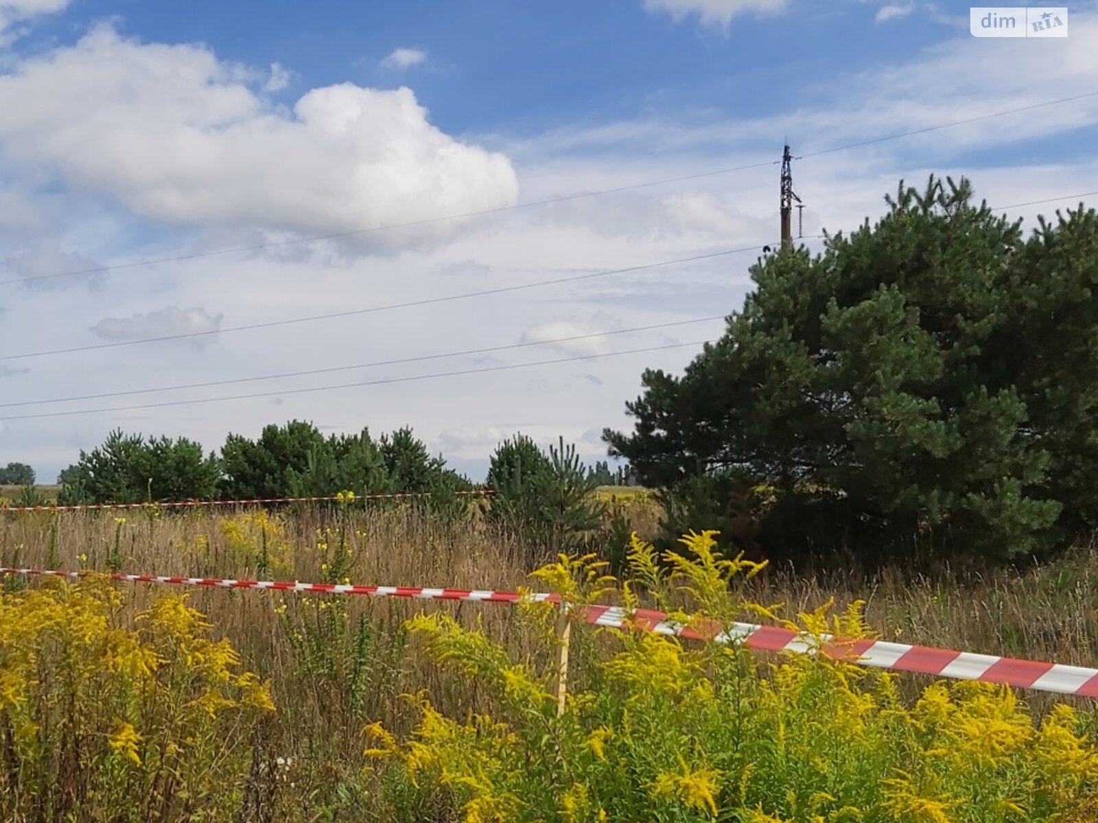 Земельна ділянка під житлову забудову в Копачівці, площа 24.81 сотки фото 1