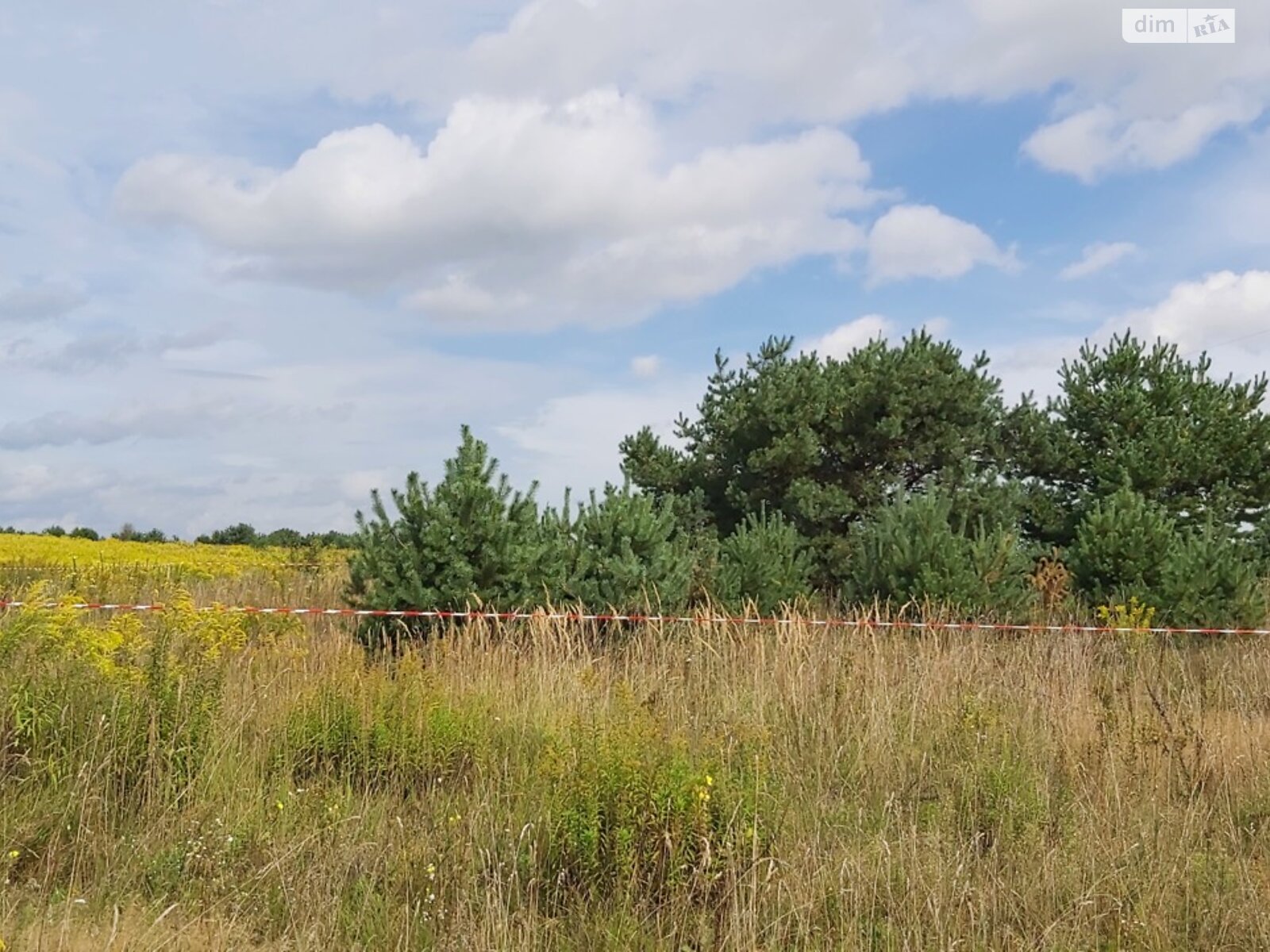 Земельна ділянка під житлову забудову в Копачівці, площа 24.81 сотки фото 1