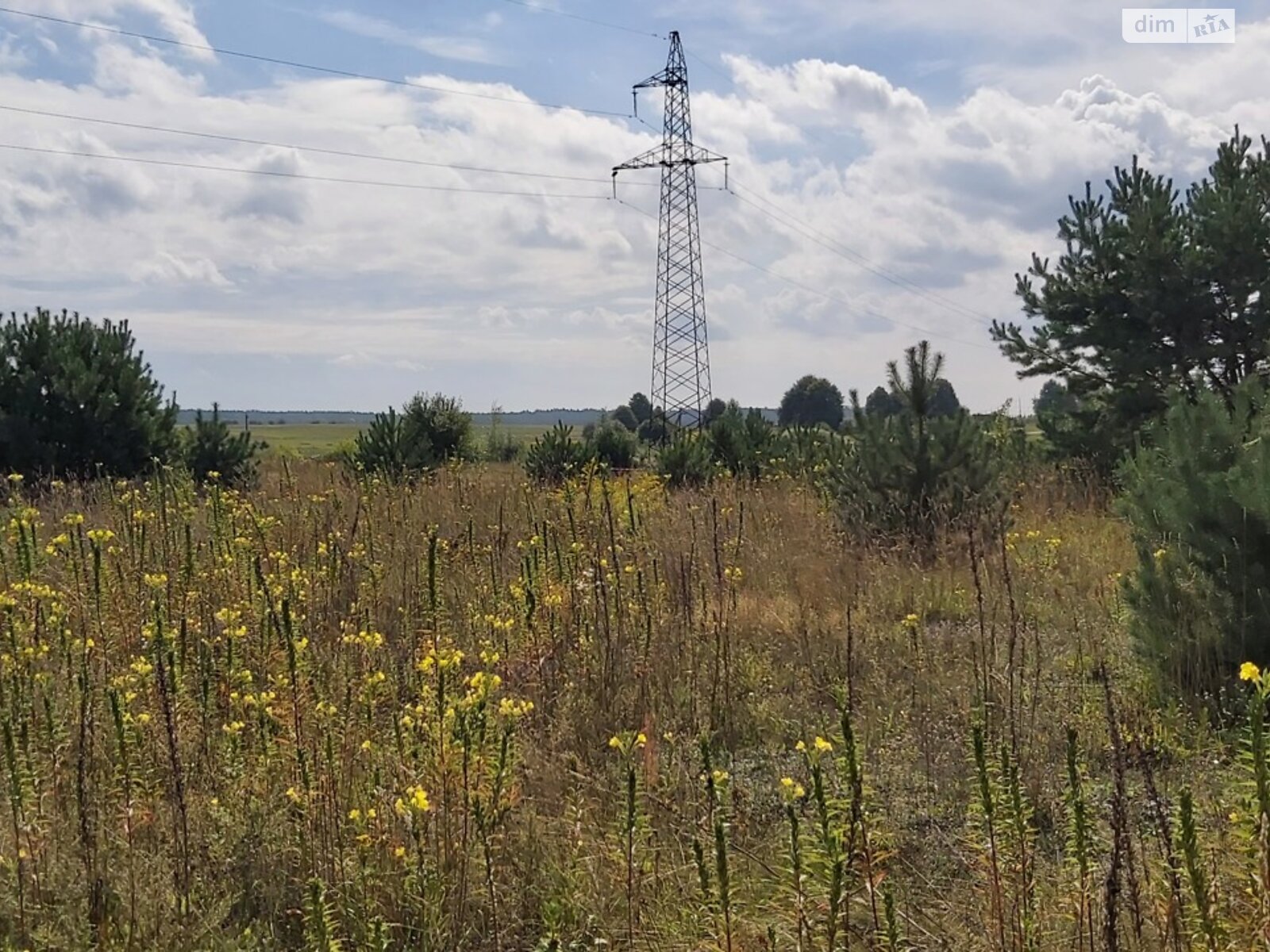 Земельна ділянка під житлову забудову в Копачівці, площа 24.81 сотки фото 1