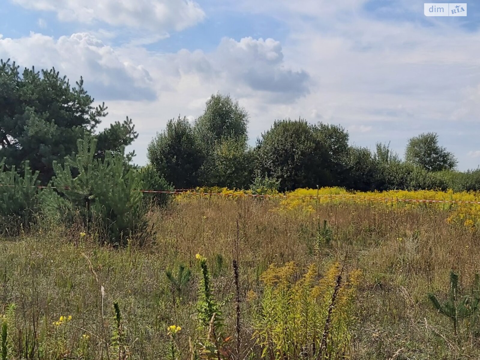 Земельна ділянка під житлову забудову в Копачівці, площа 24.81 сотки фото 1