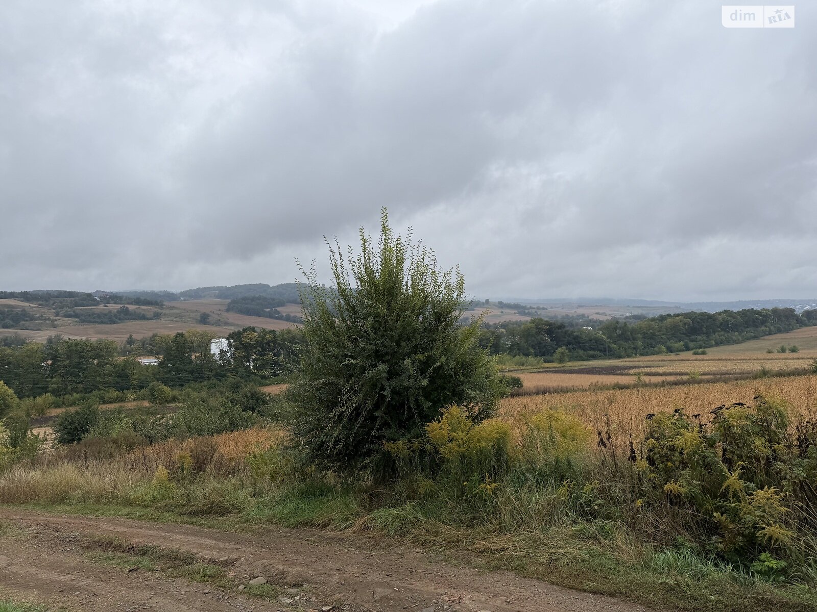 Земельна ділянка під житлову забудову в Коровії, площа 22.79 сотки фото 1 Земельна ділянка під житлову забудову в Коровії, площа 22.79 сотки фото 1