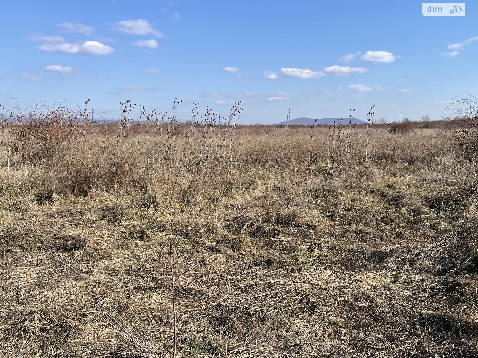 Земельна ділянка під житлову забудову в Коритняни, площа 20 соток фото 1