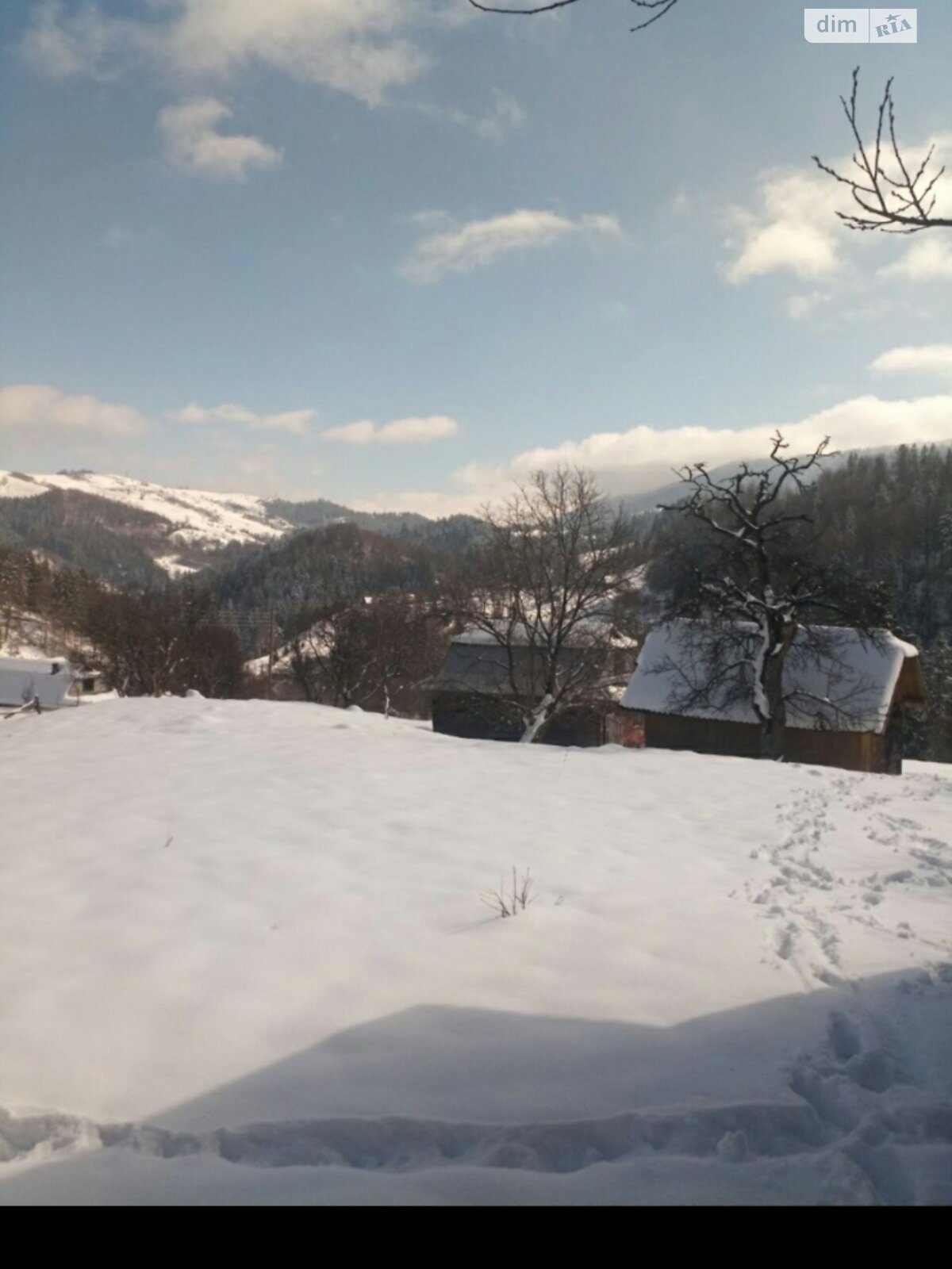 Земля під житлову забудову в Косові, район Косів, площа 1.46 Га фото 1 Земля під житлову забудову в Косові, район Косів, площа 1.46 Га фото 1