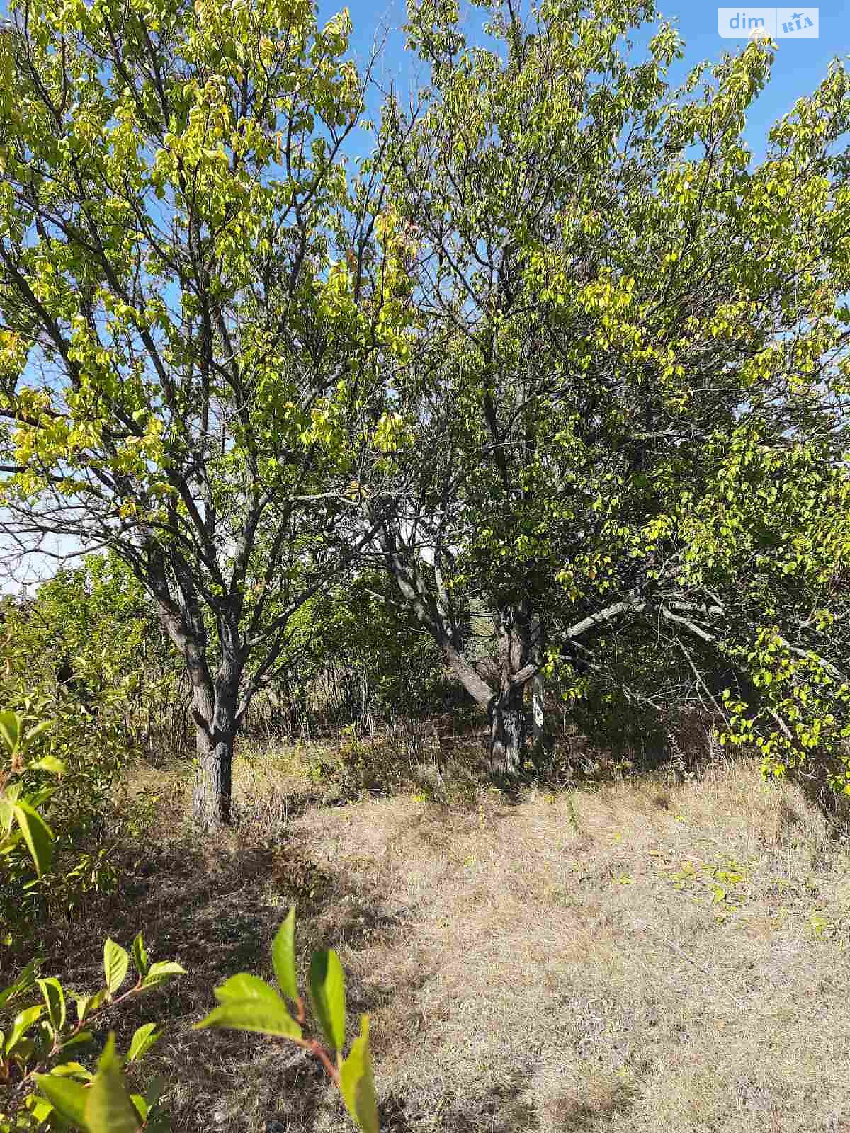 Земельный участок под жилую застройку в Котлярах, площадь 15 соток фото 1 Земельный участок под жилую застройку в Котлярах, площадь 15 соток фото 1