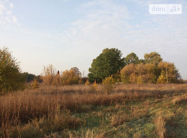 Земельна ділянка під житлову забудову в Коверівці, площа 230 соток фото 1 Земельна ділянка під житлову забудову в Коверівці, площа 230 соток фото 1