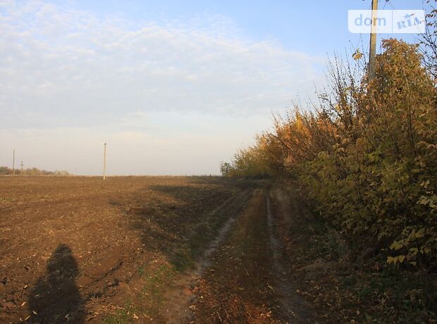 Земельна ділянка під житлову забудову в Коверівці, площа 230 соток фото 1 Земельна ділянка під житлову забудову в Коверівці, площа 230 соток фото 1
