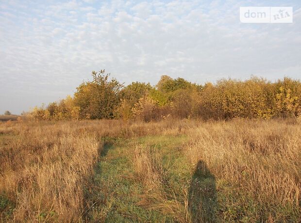 Земельна ділянка під житлову забудову в Коверівці, площа 230 соток фото 1 Земельна ділянка під житлову забудову в Коверівці, площа 230 соток фото 1