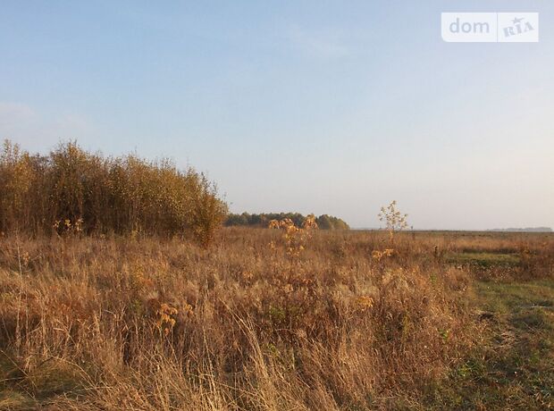 Земельна ділянка під житлову забудову в Коверівці, площа 230 соток фото 1 Земельна ділянка під житлову забудову в Коверівці, площа 230 соток фото 1
