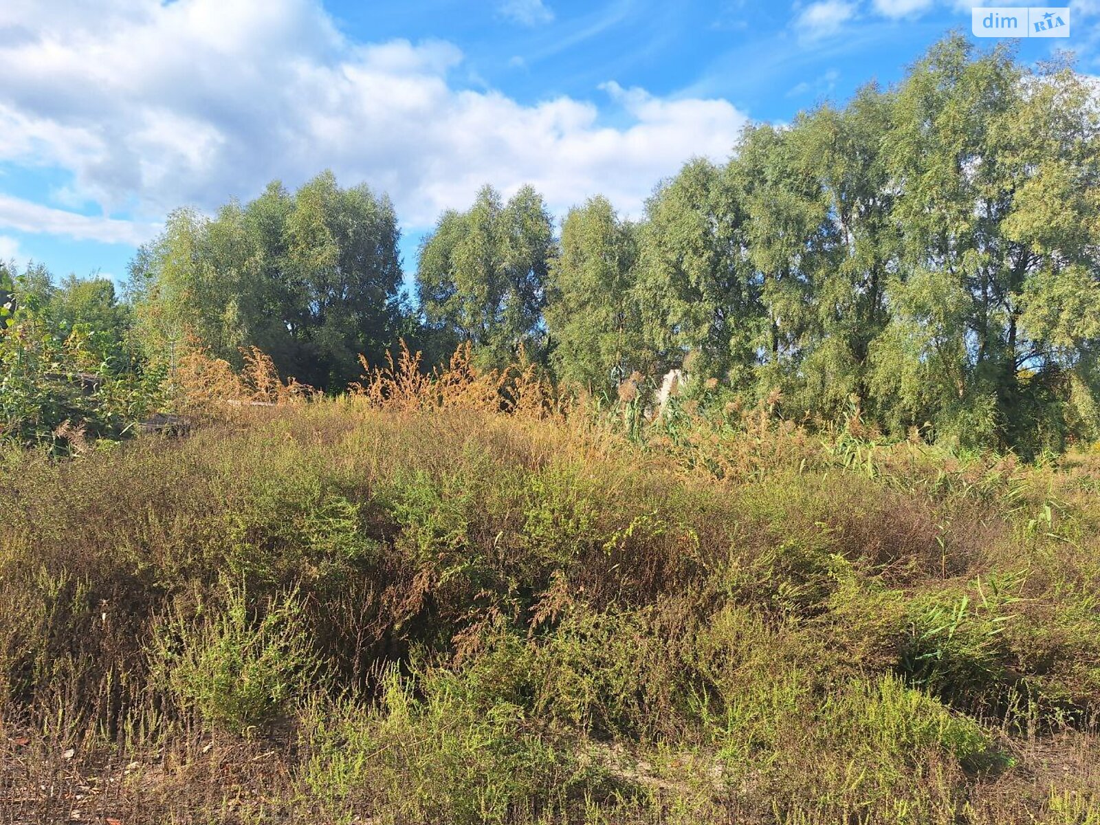 Земельный участок под жилую застройку в Козине, площадь 21.06 сотки фото 1 Земельный участок под жилую застройку в Козине, площадь 21.06 сотки фото 1