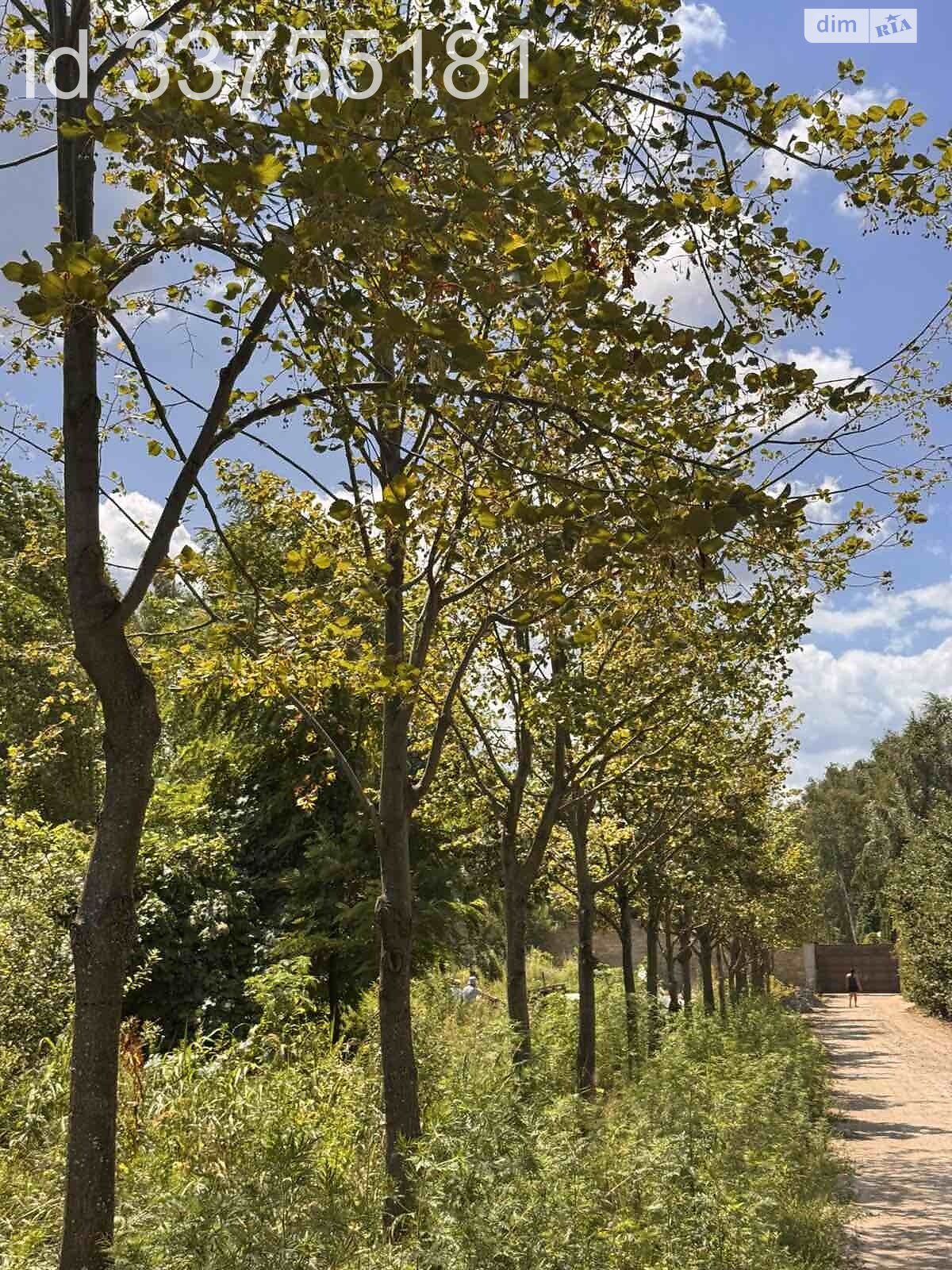 Земельна ділянка під житлову забудову в Козині, площа 25.16 сотки фото 1