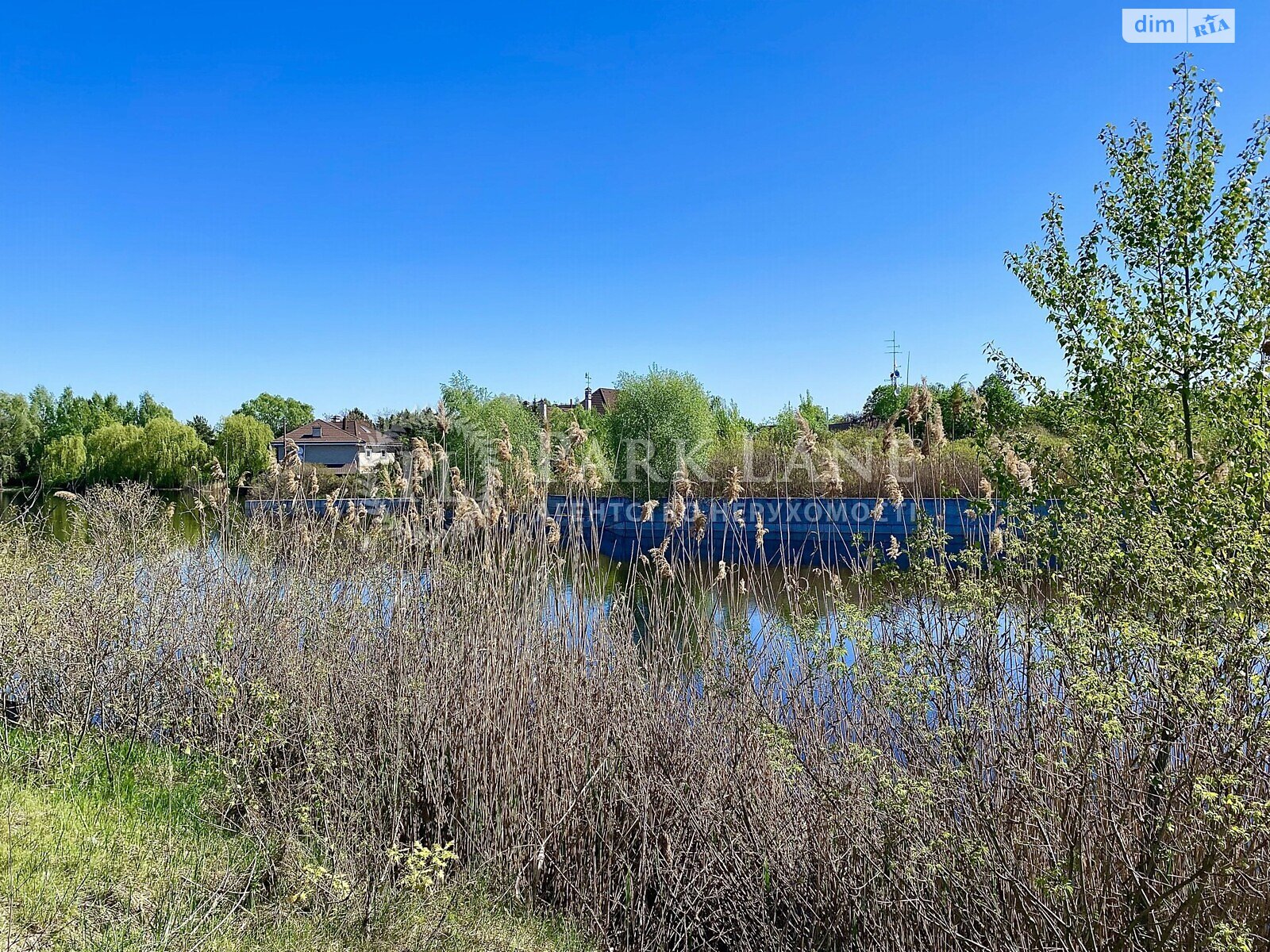 Земельна ділянка під житлову забудову в Козині, площа 1 Га фото 1