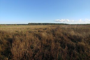 Земельна ділянка під житлову забудову в Козлиному, площа 0.114 Га фото 2