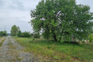 Земельный участок под жилую застройку в Козлином, площадь 21 сотка фото 2