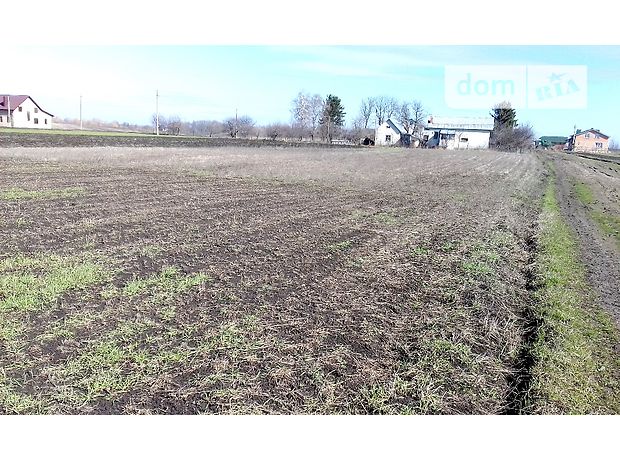 Продажа участка под жилую застройку, Тернопільська, Козова, c. Великий Ходачків, ___ Продажа участка под жилую застройку, Тернопільська, Козова, c. Великий Ходачків, ___
