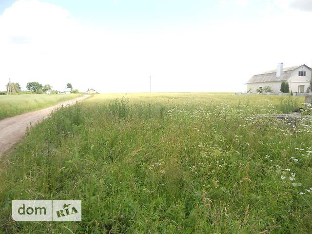 Продаж ділянки під житлову забудову, Тернопільська, Козова, c. Великий Ходачків Продаж ділянки під житлову забудову, Тернопільська, Козова, c. Великий Ходачків