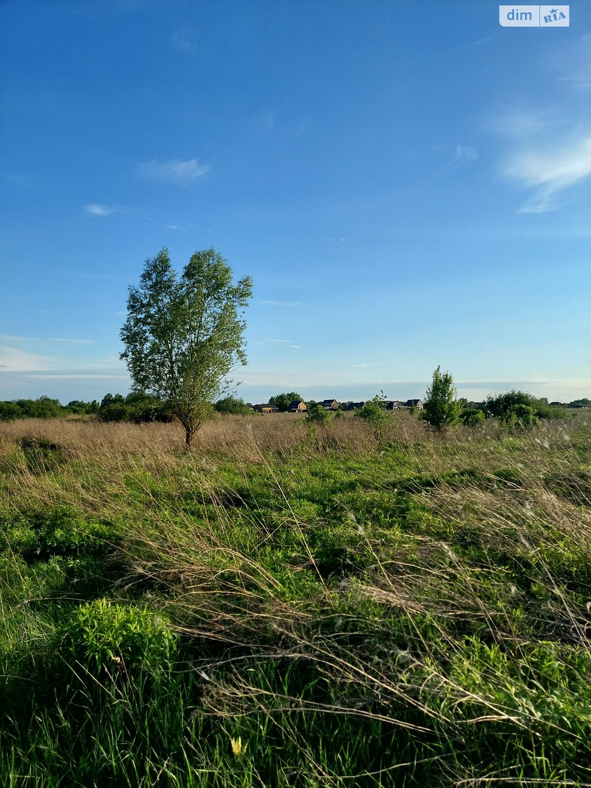 Земельна ділянка під житлову забудову в Красилівці, площа 15 соток фото 1 Земельна ділянка під житлову забудову в Красилівці, площа 15 соток фото 1