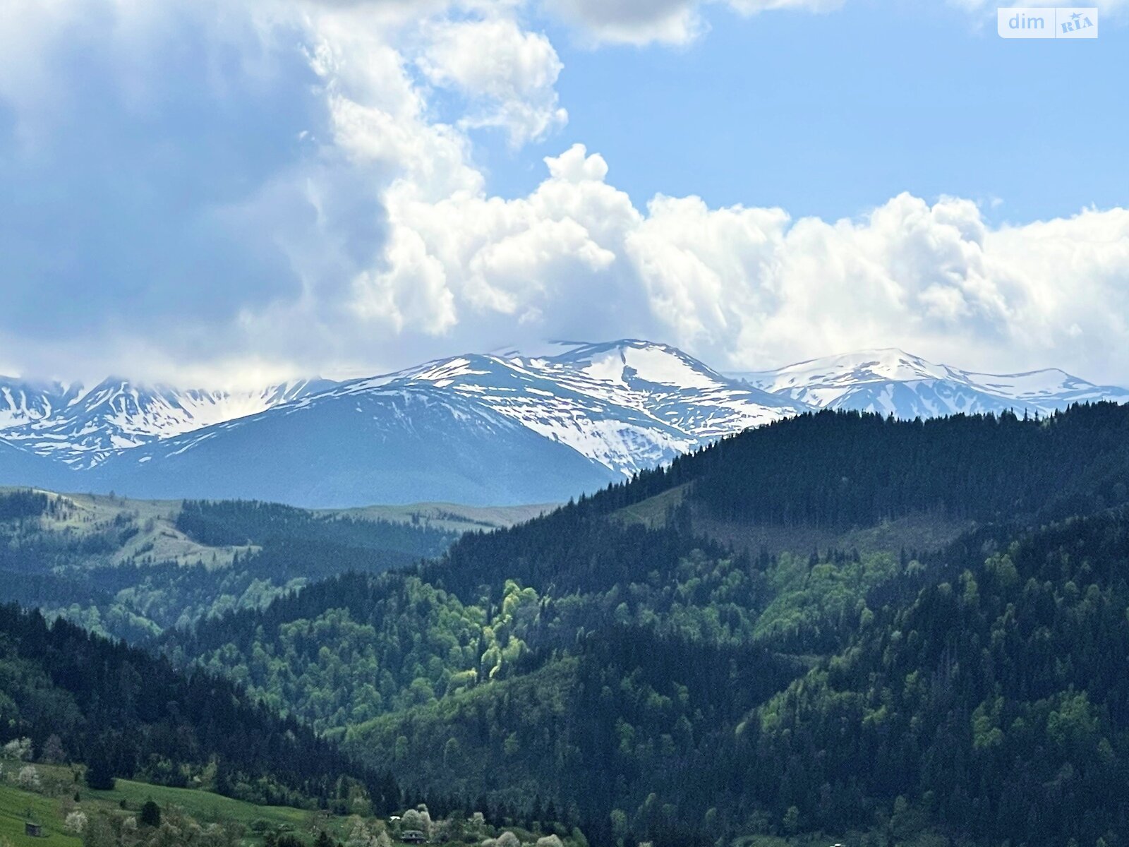 Земельный участок под жилую застройку в Краснике, площадь 75 соток фото 1