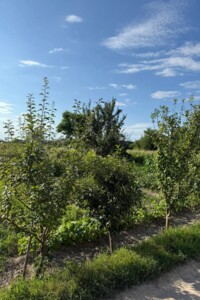 Земля под жилую застройку в Кременце, район Кременец, площадь 6 соток фото 2 Земля под жилую застройку в Кременце, район Кременец, площадь 6 соток фото 2