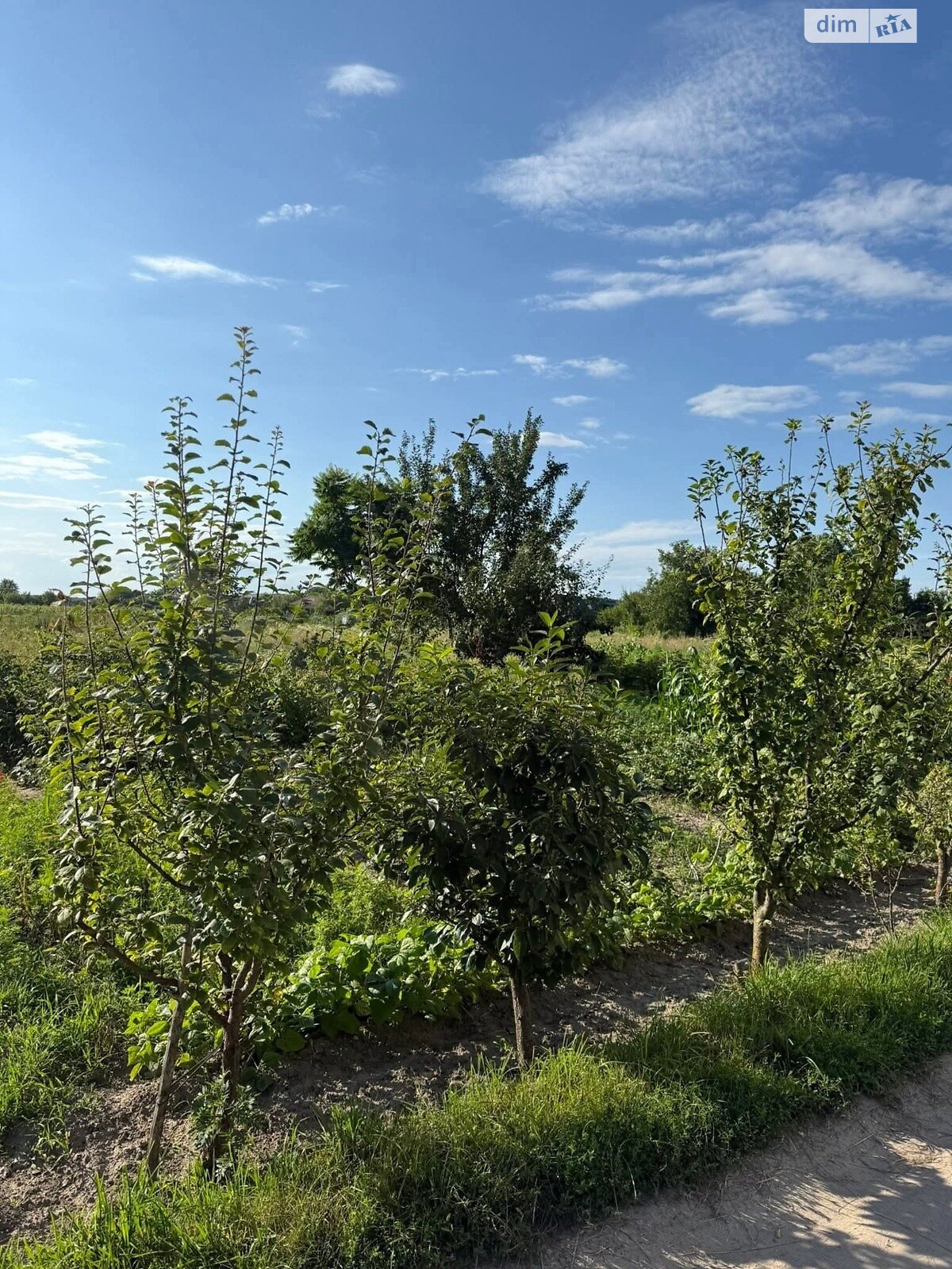 Земля под жилую застройку в Кременце, район Кременец, площадь 6 соток фото 1 Земля под жилую застройку в Кременце, район Кременец, площадь 6 соток фото 1