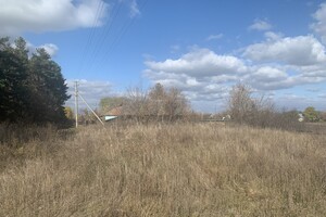 Земельна ділянка під житлову забудову в Хрещатику, площа 10 соток фото 2
