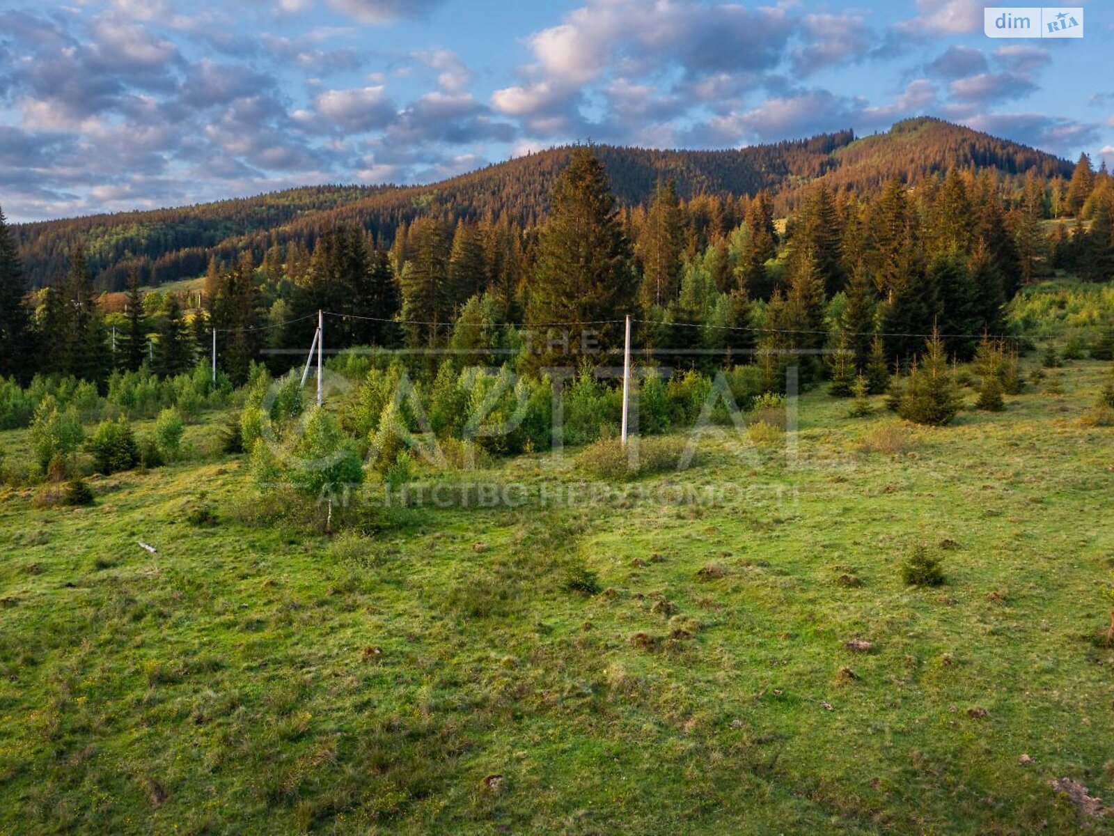 Земельна ділянка під житлову забудову в Кривопіллі, площа 120 соток фото 1