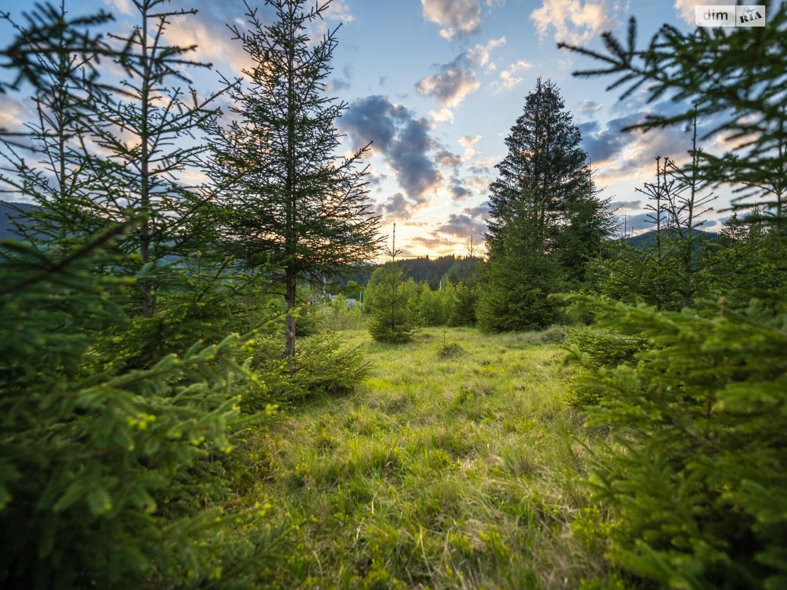 Земельна ділянка під житлову забудову в Кривопіллі, площа 120 соток фото 1