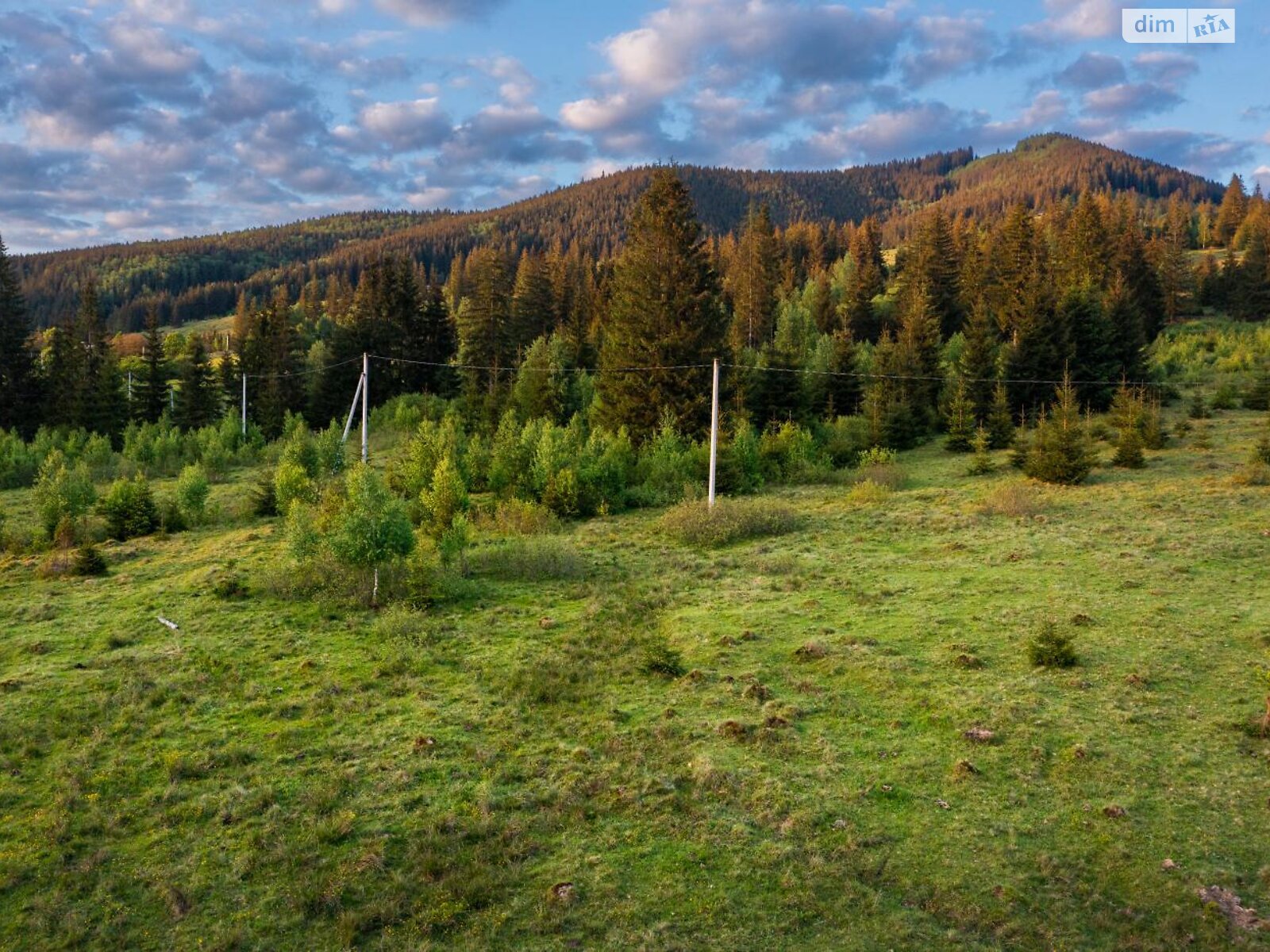 Земельна ділянка під житлову забудову в Кривопіллі, площа 120 соток фото 1