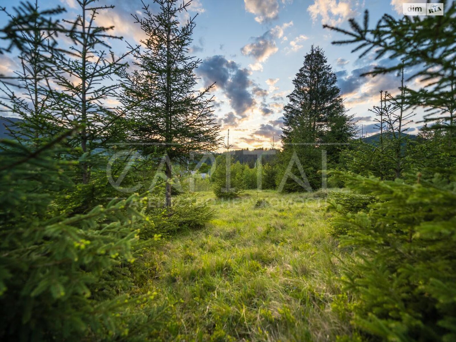 Земельна ділянка під житлову забудову в Кривопіллі, площа 120 соток фото 1